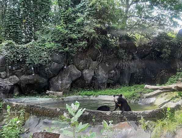 tempat bermaian anak di bali