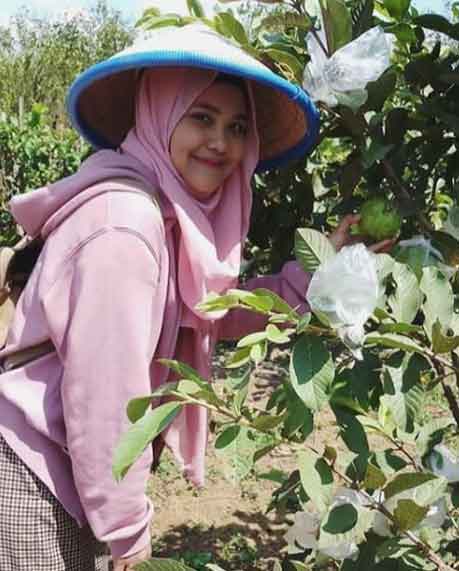 wisata terbaru di banjanegara