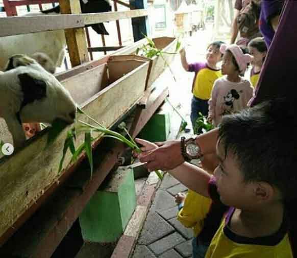 wisata keluarga terbaik di surabaya