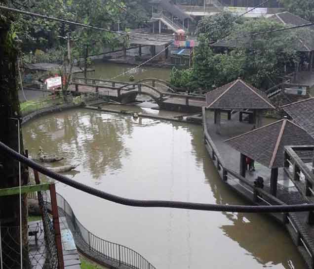 wisata alam untuk anak di bogor