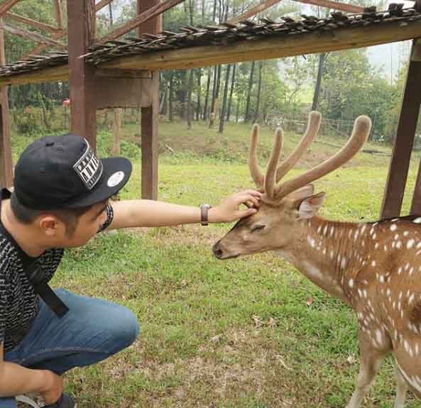 tempat liburan keluarga di bogor