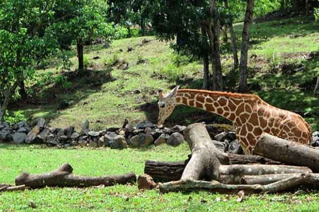 wisata edukasi anak di bogor