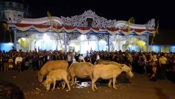 wisata ramah anak di solo