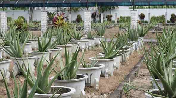  tempat wisata di pontianak dan sekitarnya