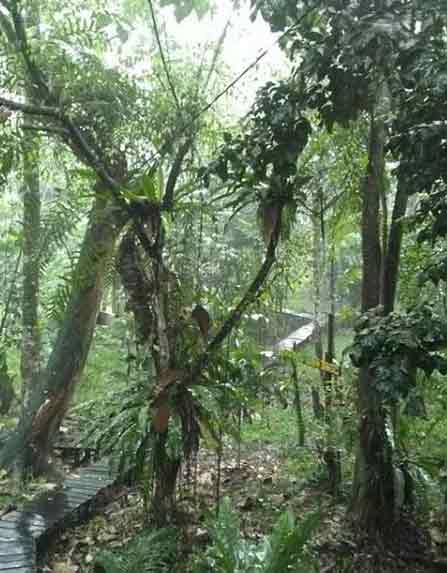 tempat wisata alam di pontianak