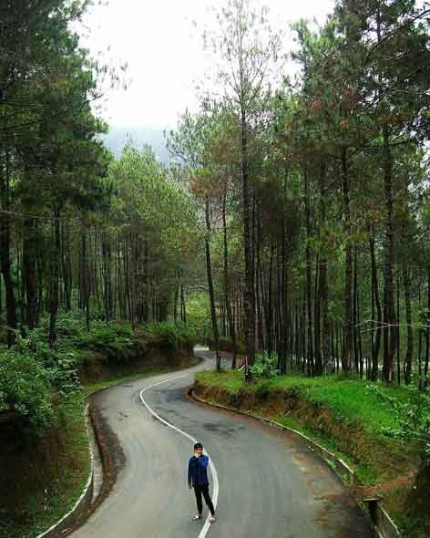 25 Tempat Wisata di Brebes Yang Paling Membuat Penasaran 24 tempat hunting di brebes
