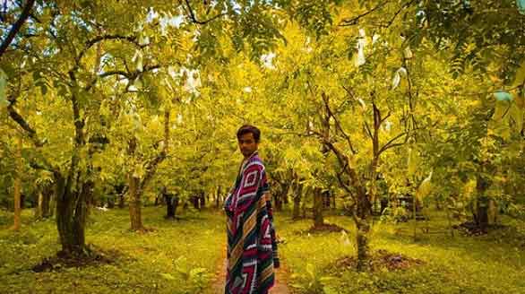 wisata kuliner grobogan