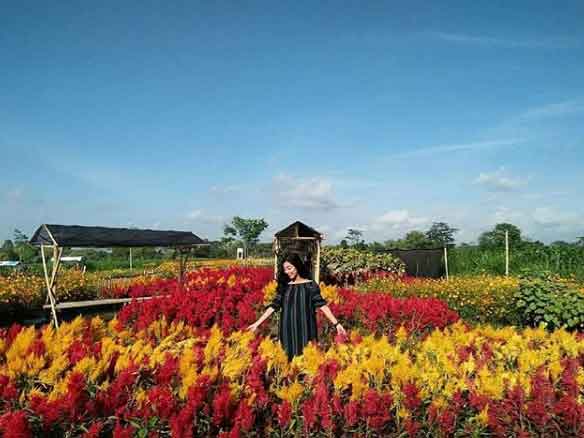 tempat hunting foto di klaten