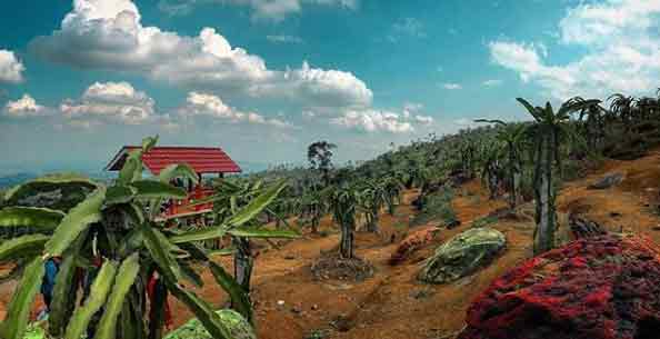 tempat wisata keluarga di pati