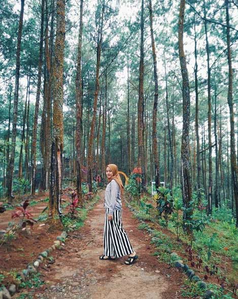 objek wisata di kebumen yang lagi hits