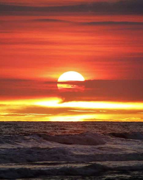 tempat piknik di cilacap