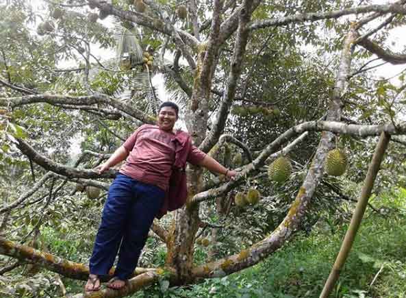 25 Tempat Wisata di Brebes Yang Paling Membuat Penasaran 22 wisata obyek keluarga di brebes