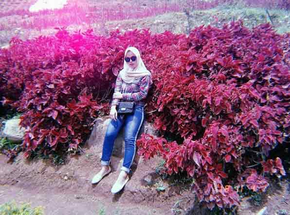 objek wisata di pati terbaru