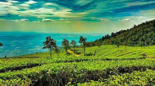 25 Tempat Wisata di Kendal Yang Pasti Membuat Liburan Mengasyikkan 17 objek wisata di kendal terbaru