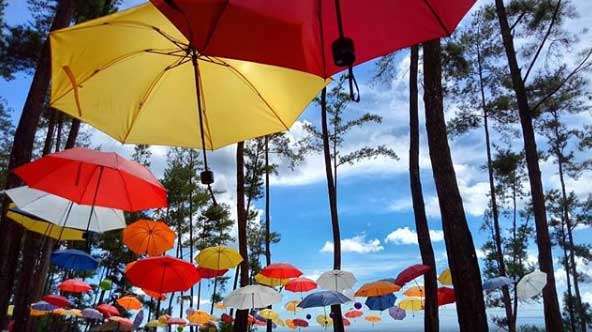 tempat hunting foto di cilacap