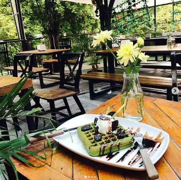 Tempat Makan di Bogor yang Wajib di Kunjungi 3 tempat makan murah di bogor yang instagramable