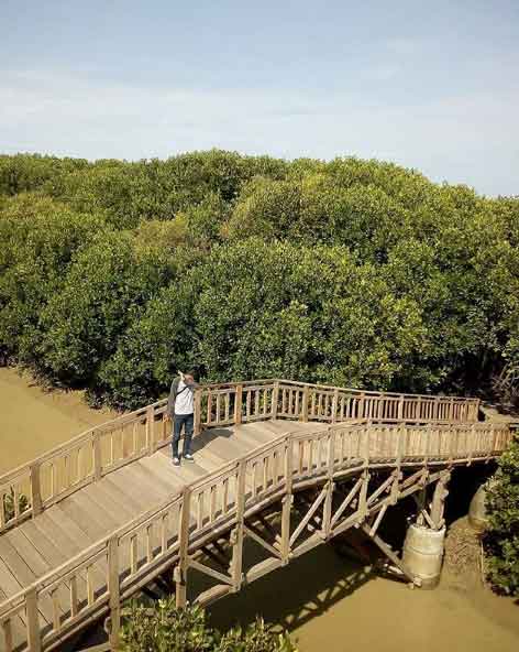 25 Tempat Wisata di Brebes Yang Paling Membuat Penasaran 2 objek wisata di brebes terbaru