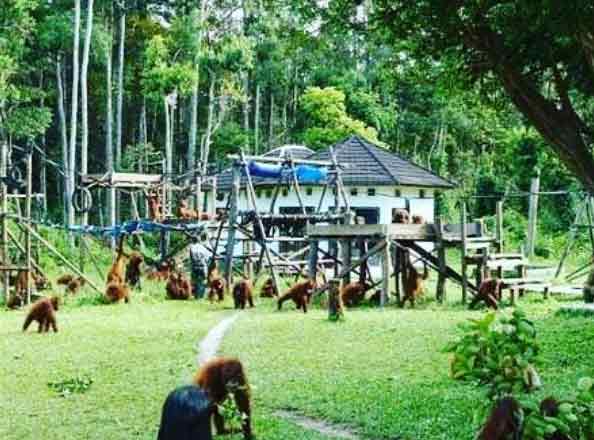 wisata edukasi palangkaraya