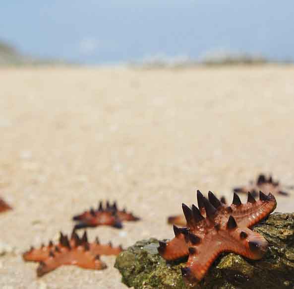 wisata pantai di bontang