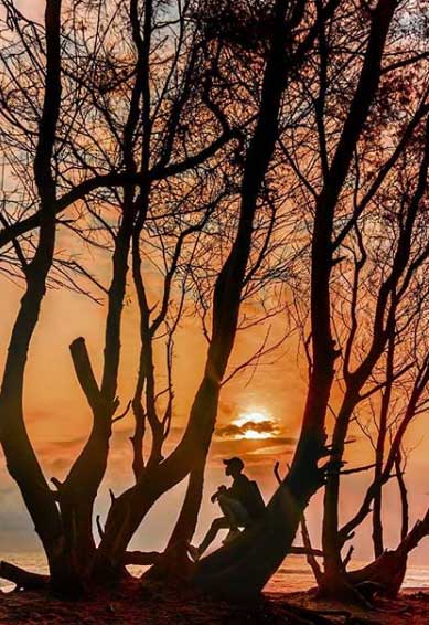 wisata pantai goa cemara jogja