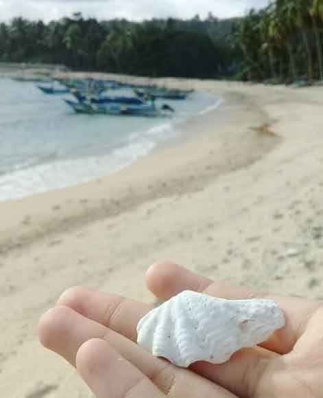 5 Tempat Wisata Pantai di Bengkulu Jadi Pilihan Tepat Bagi Anda dan Keluarga 6 obyek wisata pantai di bengkulu