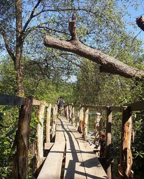 5 Tempat Wisata Pantai di Bekasi Pilihan Menarik Liburan 4 objek wisata pantai di bekasi