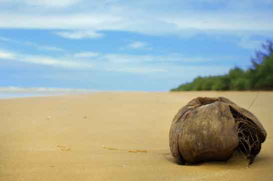 wisata pantai ponjug madura