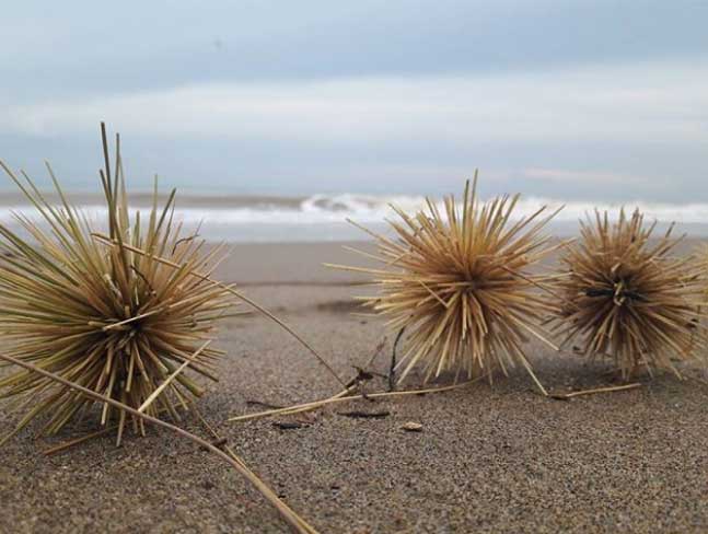 tempat wisata pantai bogor