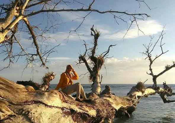wisata pantai di aceh selatan