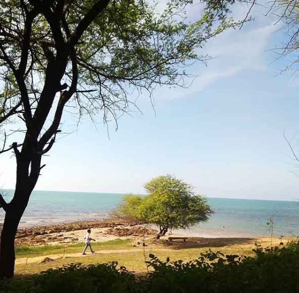 pantai dekat bojonegoro
