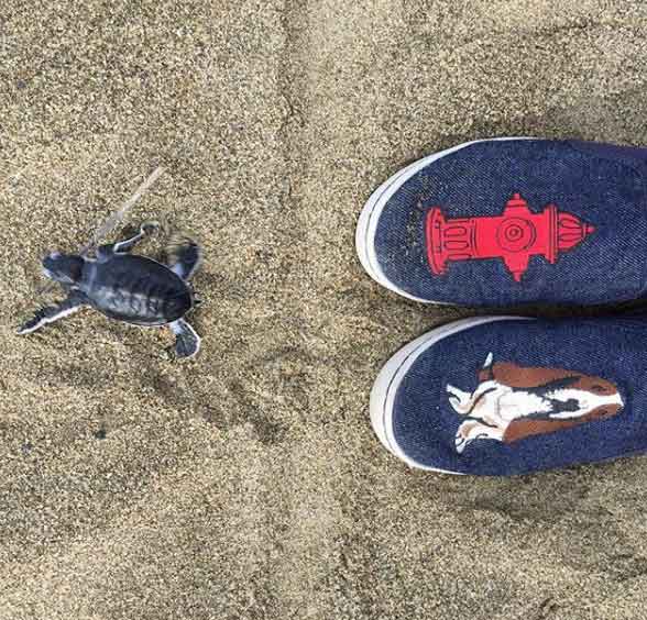 pantai terbaru di banyuwangi