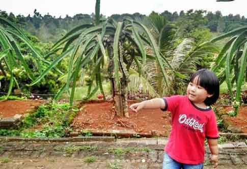 25 Tempat Wisata di Kendal Yang Pasti Membuat Liburan Mengasyikkan 6 tempat piknik di kendal