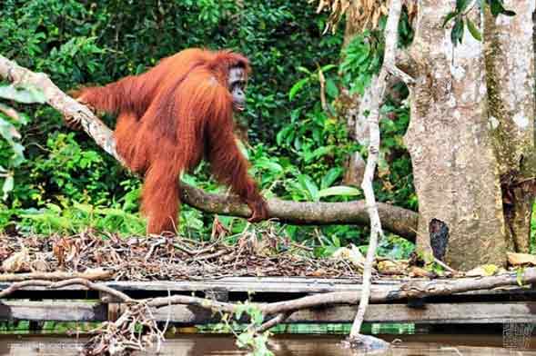 wisata edukasi palangkaraya
