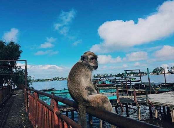 tempat liburan di banjarmasin