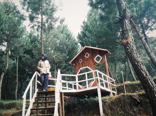 25 Tempat Wisata di Batang Paling Menarik Perhatian 14 tempat menarik di batang