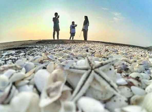 25 Tempat Wisata di Brebes Yang Paling Membuat Penasaran 10 pantai di brebes