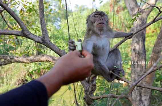 wisata alam jakarta utara