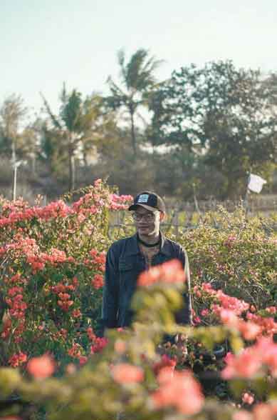  tempat menarik di kebumen
