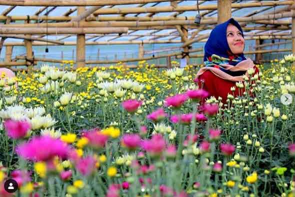 25 Tempat Wisata di Batang Paling Menarik Perhatian 16 tempat hunting foto di batang