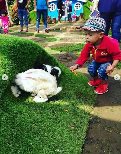 25 Tempat Wisata di Kendal Yang Pasti Membuat Liburan Mengasyikkan 26 objek wisata di kendal terbaru