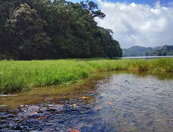 25 Tempat Wisata di Brebes Yang Paling Membuat Penasaran 26 wisata alam brebes