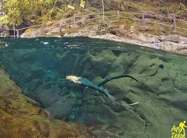 objek wisata alam di banyumas
