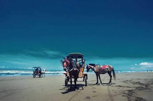 tempat liburan di cilacap