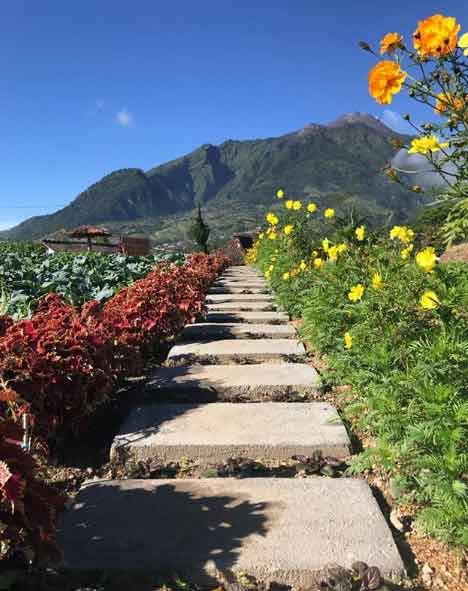 wisata keluarga di boyolali