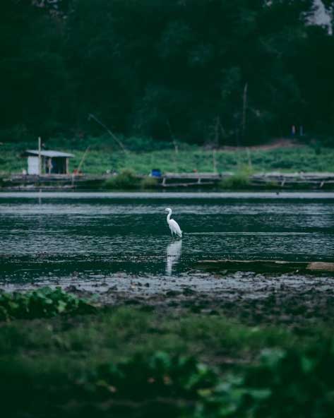 wisata di kabupaten boyolali dan sekitarnya,