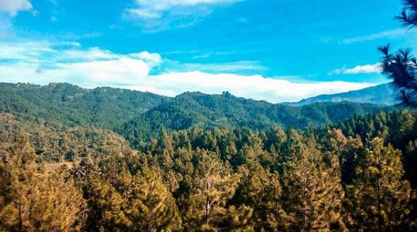 25 Tempat Wisata di Brebes Yang Paling Membuat Penasaran 21 tempat wisata di brebes terbaru