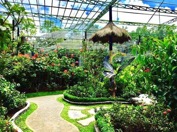 Tempat Hunting Foto di Bali yang Instagramable 4 tempat foto di bali terbaru