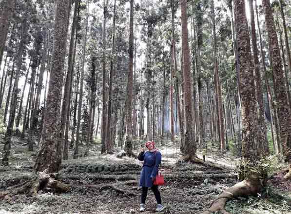 objek wisata di purwokerto dan sekitarnya