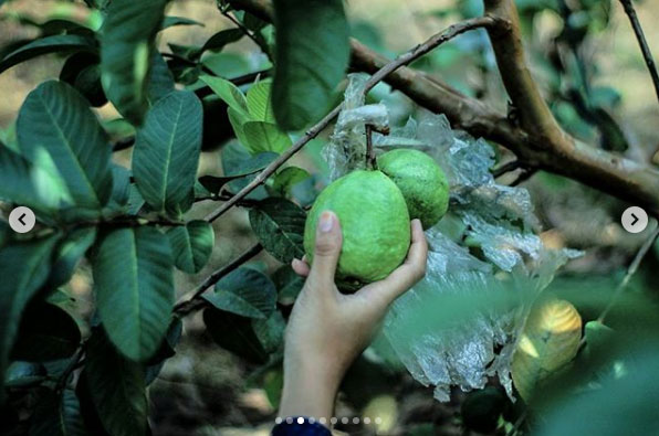 21 Tempat Wisata di Purbalingga Dengan Spot Foto Top Instagramable 20 wisata edukasi purbalingga