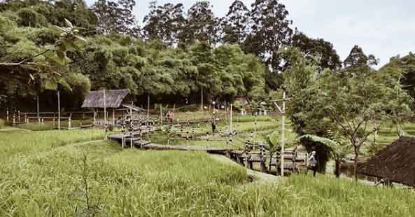 tempat makan di lembang yang viewnya bagus